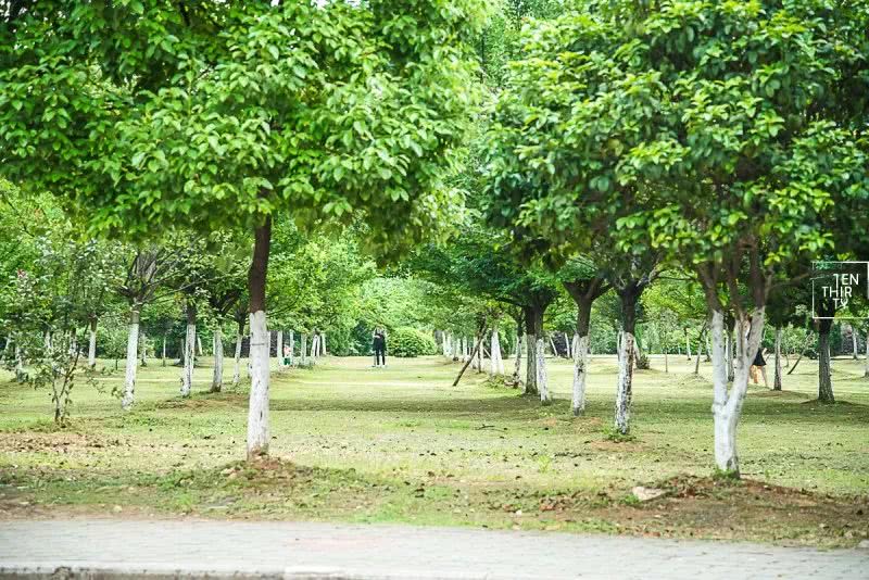 不在汉口的汉口学院，聚集了大花岭大学城最好吃的美食！