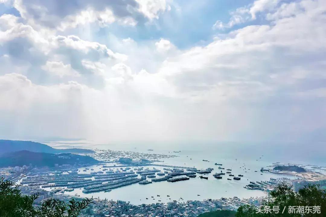 深茂高铁开通时间表,好消息深茂高铁