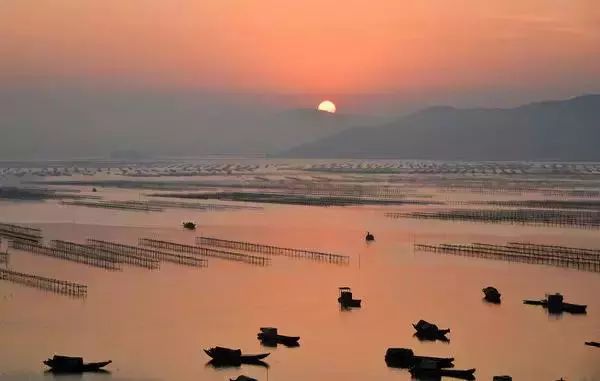 深圳有哪些好玩的海岛,深圳附近哪个海岛最好