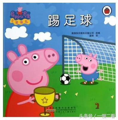 足球书籍20册,足球书籍阅读