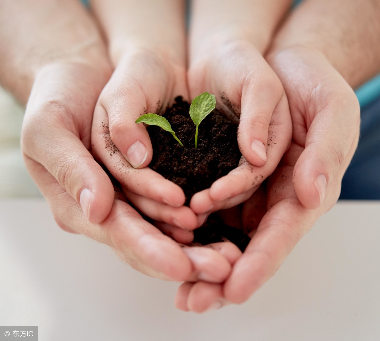 憋成内伤之余，为了孩子，作为家长，我们还得学会处理小擦伤