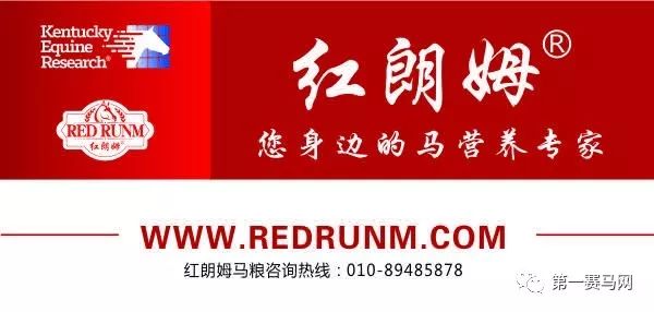 中国国家队体能大比武,中国国家队体能大赛