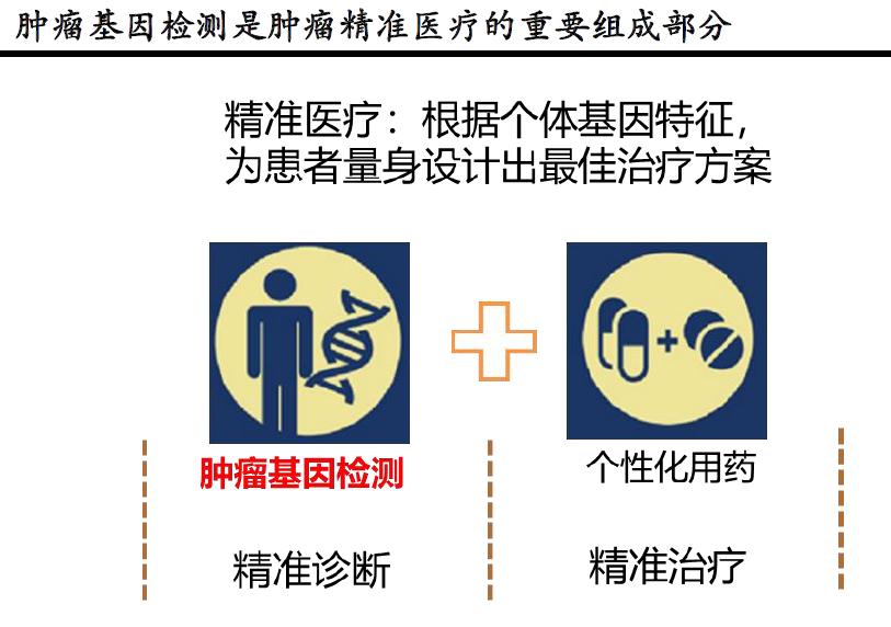 肿瘤医院行业分析报告,肿瘤基因行业分析