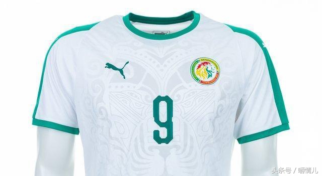 2018俄罗斯世界杯32强,2018俄罗斯世界杯32强名单