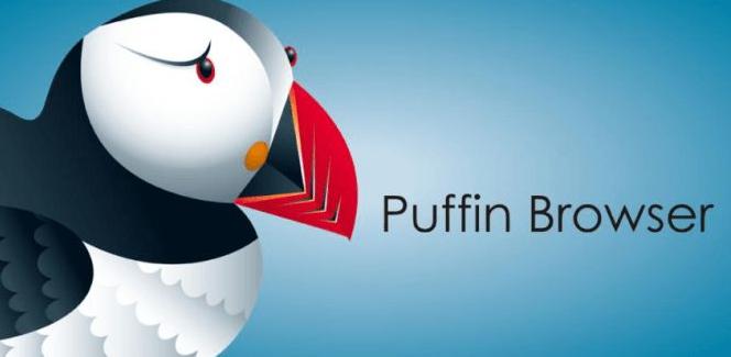 ios浏览器资源网站推荐,歪果仁玩的软件