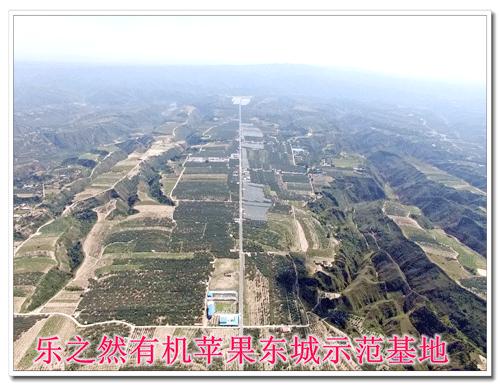 临汾乐之然有机食品,临汾乐之然有机产品专卖店