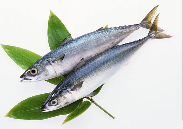 儿童适合吃什么鱼最营养,小孩怎么吃鱼的方法