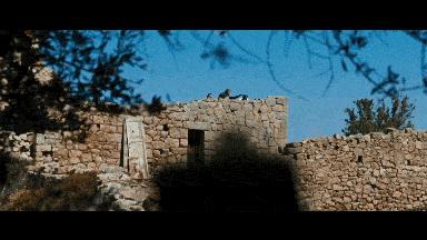 把大尺度拍得如此变态唯美,导演你怕是磕药了吧!