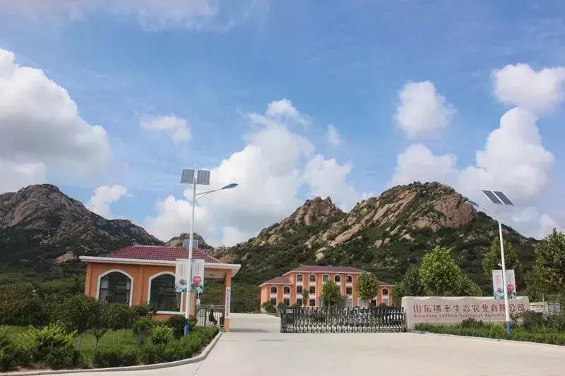 端午假期遇上父亲节,端午节父亲节出游