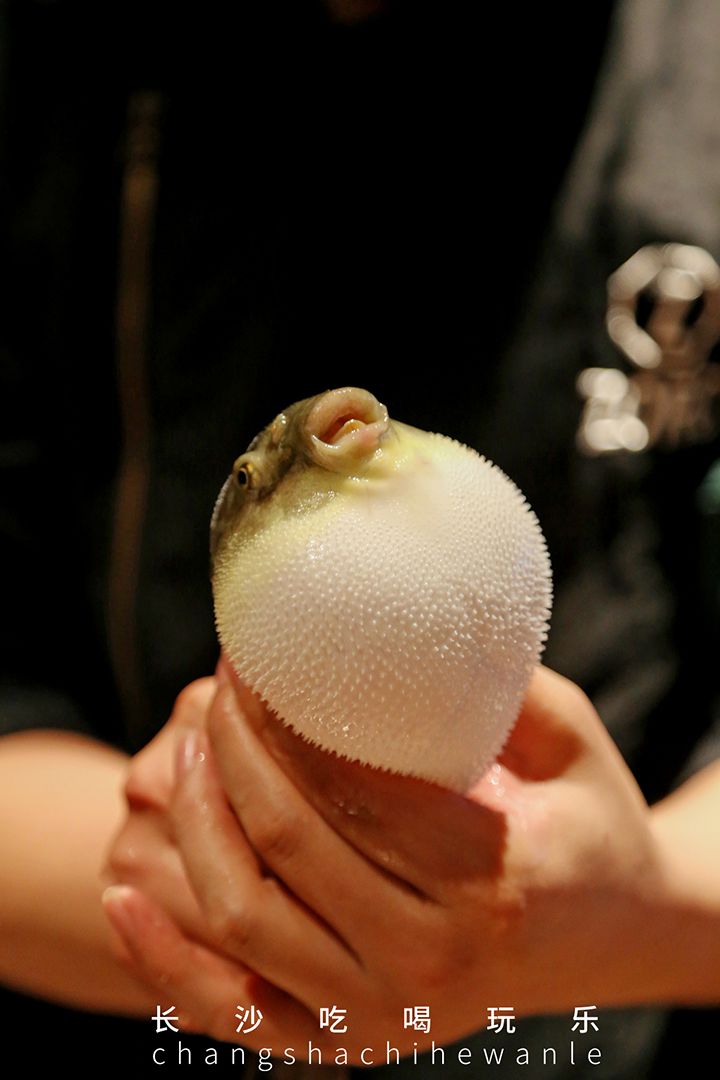 这家日料店有点不一样氛围感爆棚,诚意推荐5家超高颜值新派日料店