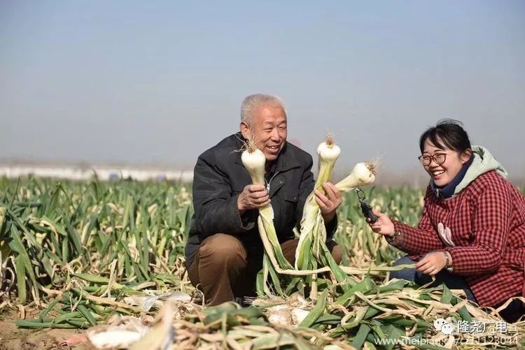 又得胖十斤!羊汤、贡藕、熏鸡,隆尧美食好吃到爆炸!