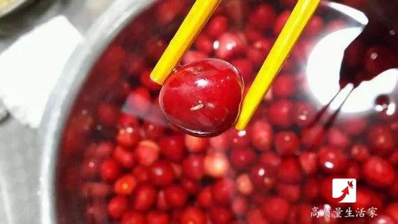 杨梅里面的虫子是怎么来的,樱桃杨梅有虫子