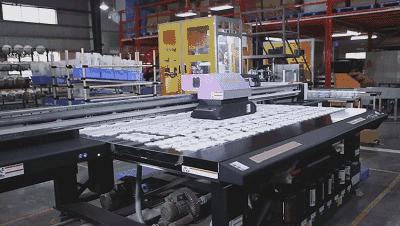 中国足球进世界杯了,中国足球到底进了没