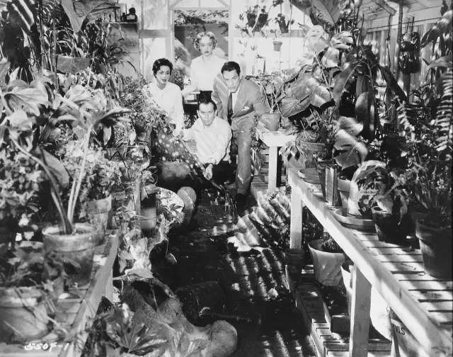 《阿凡达》仅排第5？盘点列入影史经典的十大外星人电影