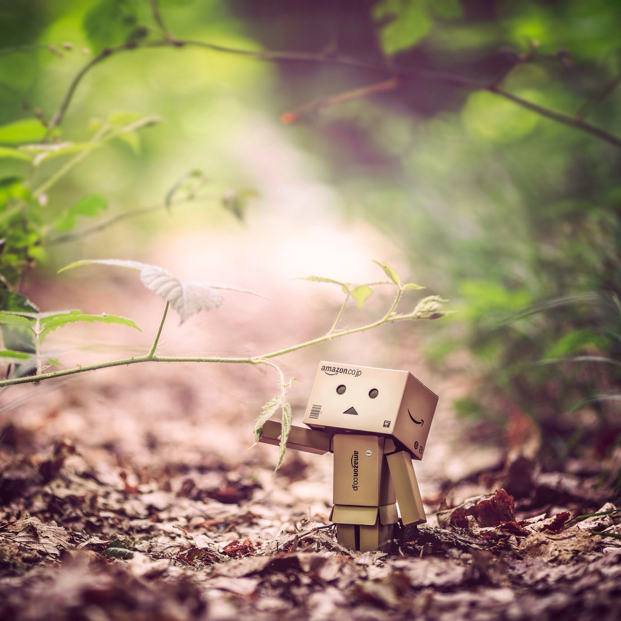 唯美纸盒人,唯美盒子