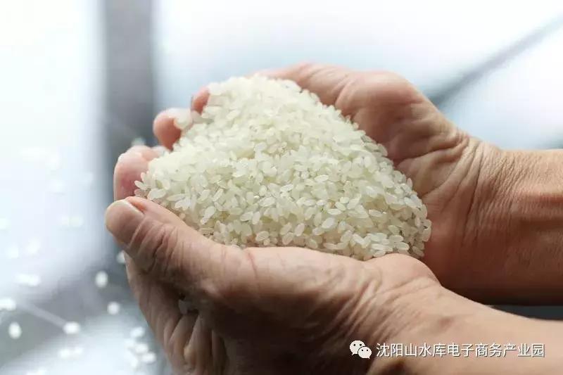 2018“赢在沈阳”农村电商特训营完美收官