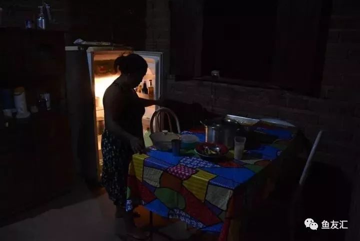 特隆贝塔如何饲养,特隆贝塔半皇与红彩区别