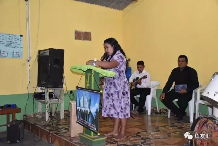 特隆贝塔如何饲养,特隆贝塔半皇与红彩区别