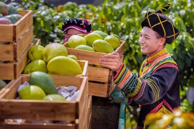 新华社攀枝花,新华社三亚