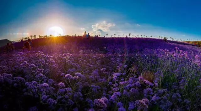 新华社攀枝花,新华社三亚