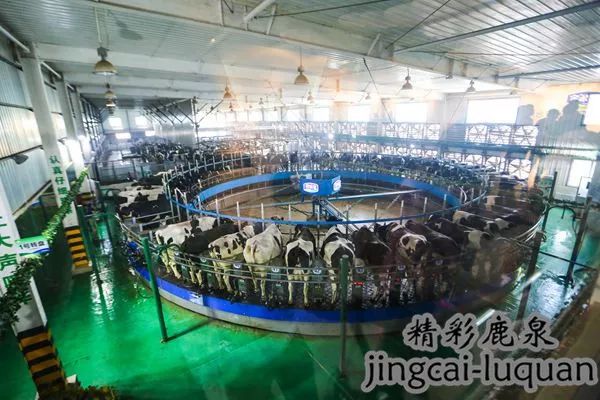 *春华胡**副总理来鹿泉了！