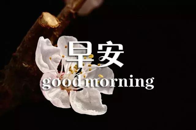 闹钟在吵早安祝福语,闹钟在响喜鹊在叫