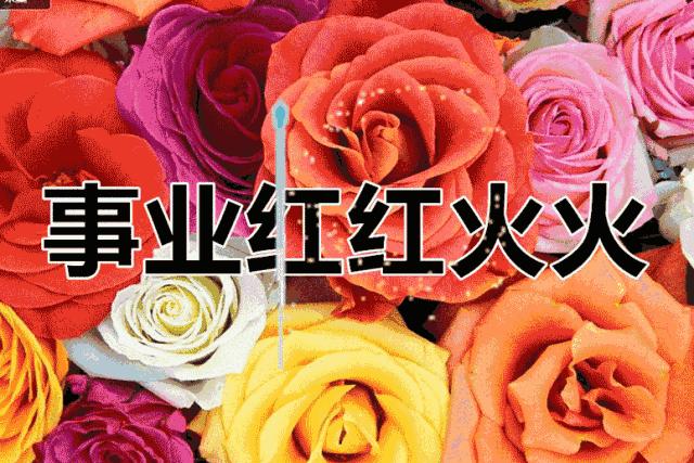 端午节到了致所有对我好的人,端午节致我最在乎的人图片