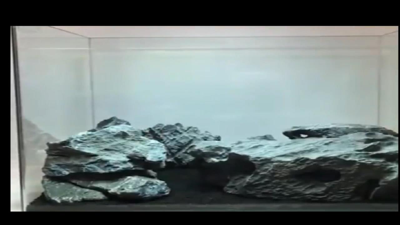 草缸造景以后加水很浑浊,鱼缸造景草缸教程步骤讲解