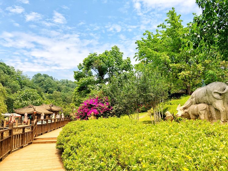 炎炎夏日何处去青岩古镇觅清凉,这个初夏去静谧的古镇寻一处清凉