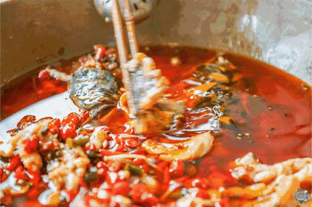 我要回杨家坪！因为这里的蒸汽石锅鲜椒鱼，让我……