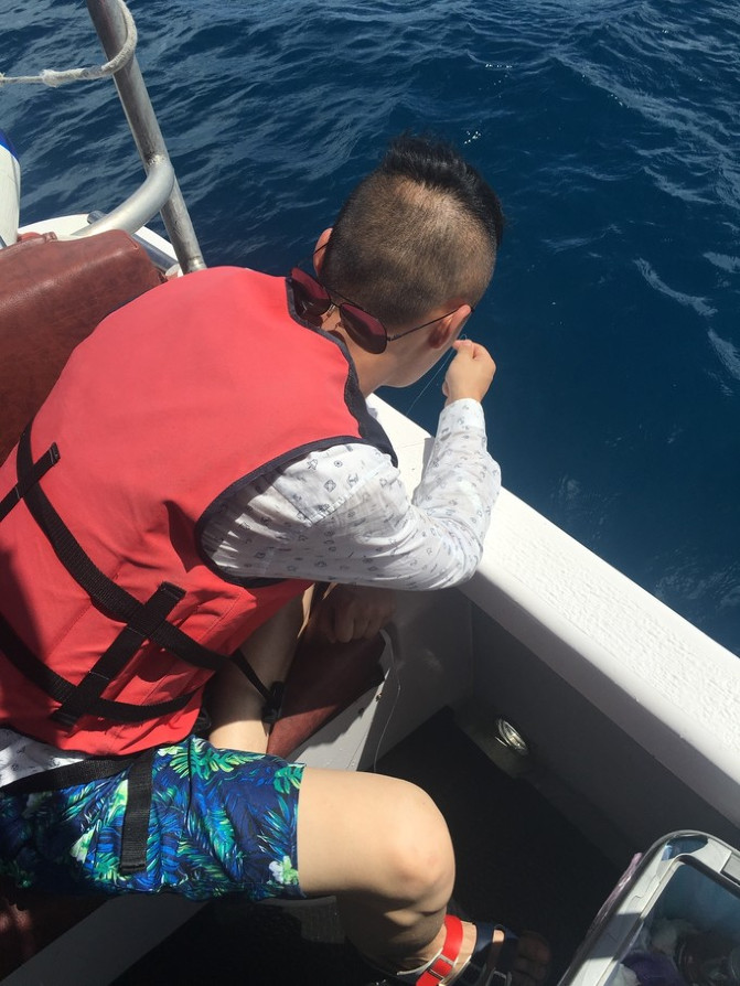 帕劳海底之旅,帕劳的海底