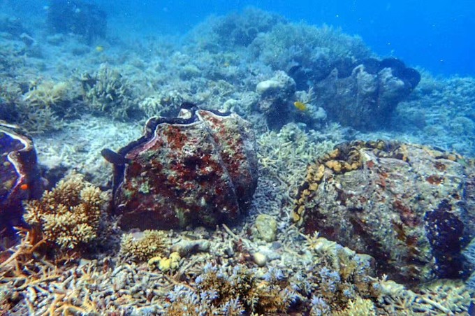端午来这个绝美海岛,端午海岛游