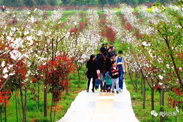 一个穷山村变富裕的故事,一个不起眼的山村如今的变化