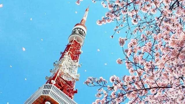 世界杯32强球队巡礼英格兰,世界杯32强巡礼之秘鲁