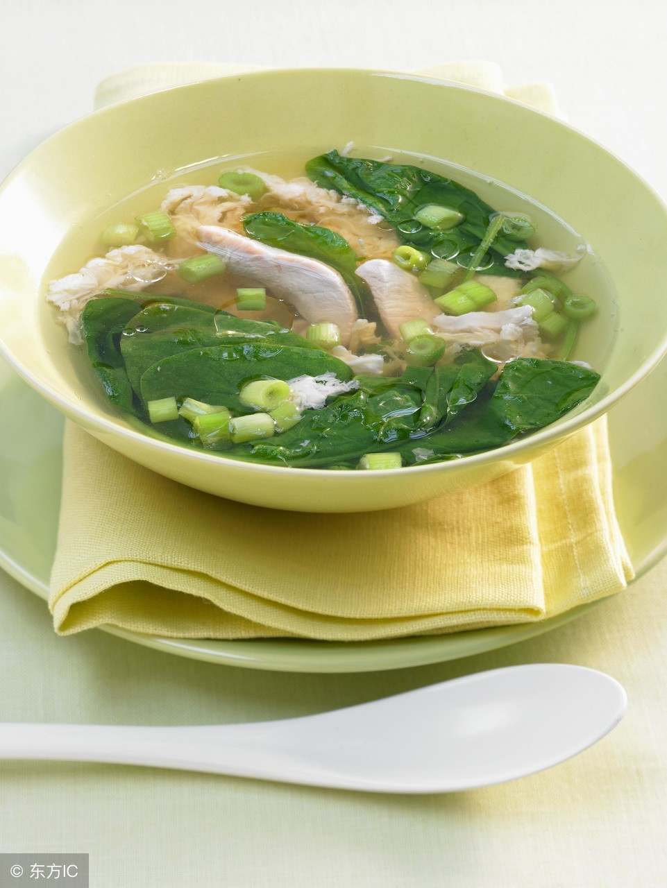 缺铁性贫血是什么原因引起的,引起缺铁性贫血的主要原因是