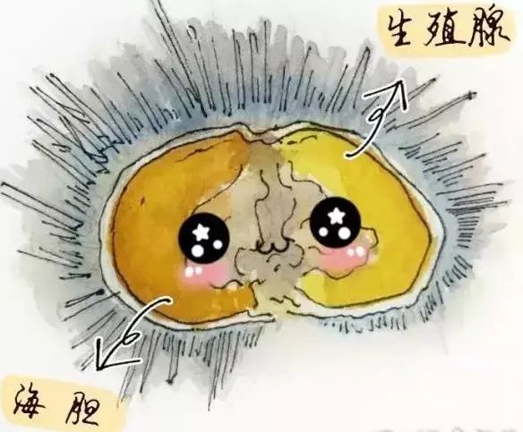 慎点内容完整版,慎点