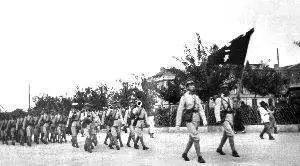 涨知识的号,涨知识各国步枪