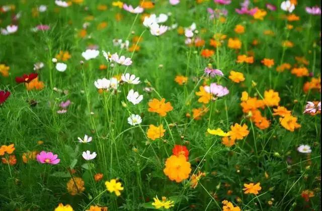 义乌游玩好去处义乌海洋世界,义乌五一亲子游推荐水上乐园