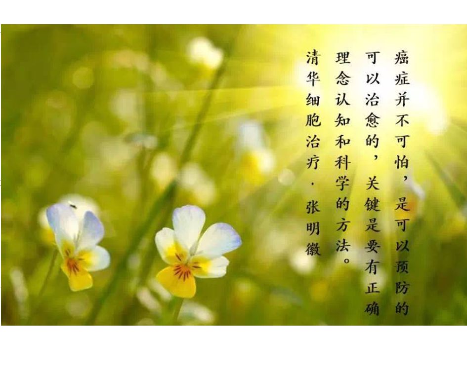 鑳冪檶nkt鍏嶇柅娌荤枟鎴愬姛妗堜緥,鑳冪檶nk鐤楁硶