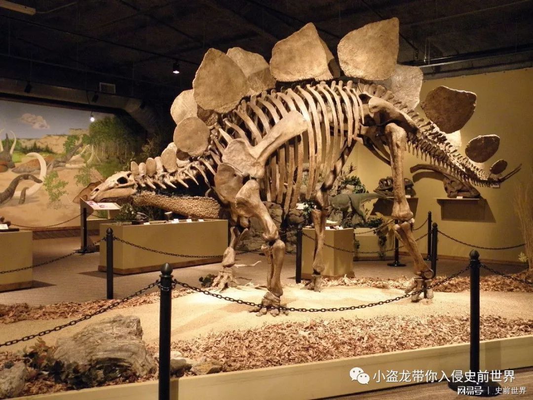 侏罗纪世界2一口气看完解说,《侏罗纪世界2》所有恐龙的名字