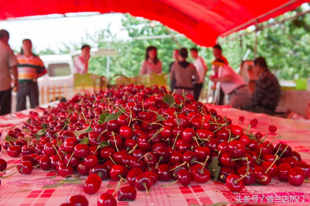 在普兰店生活有多好,我在山东刚刚好何必羡慕北上广