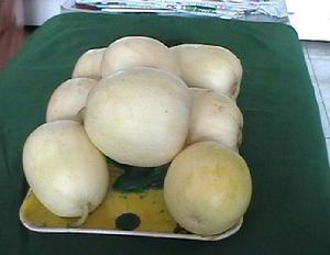 香瓜甜瓜哈密瓜,香瓜甜瓜