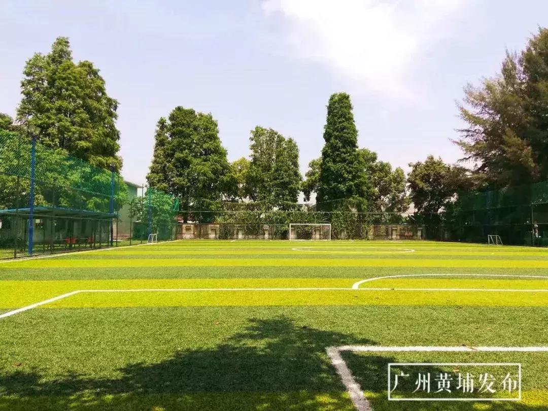 中国世界杯十大专业足球场,黄埔足球世界杯