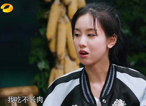 苏有朋左耳金马奖,左耳入围金马奖