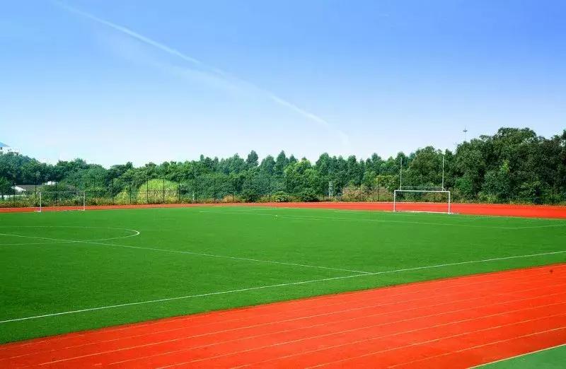 世界杯足球场地图,世界杯足球标准场地