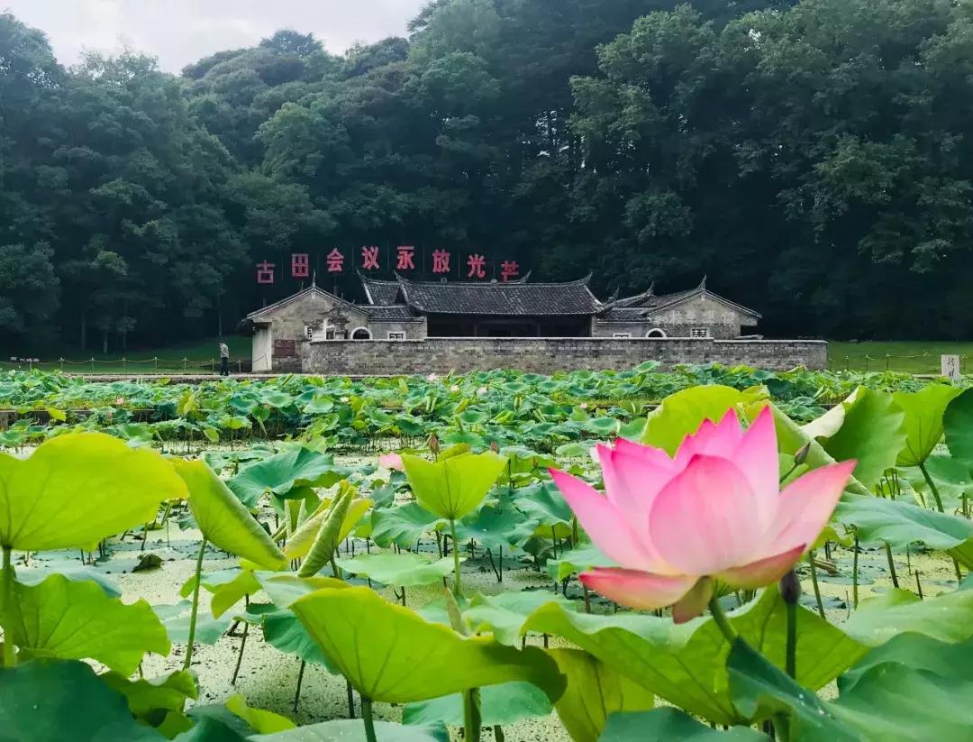 马云为何三次造访古田,马云古田
