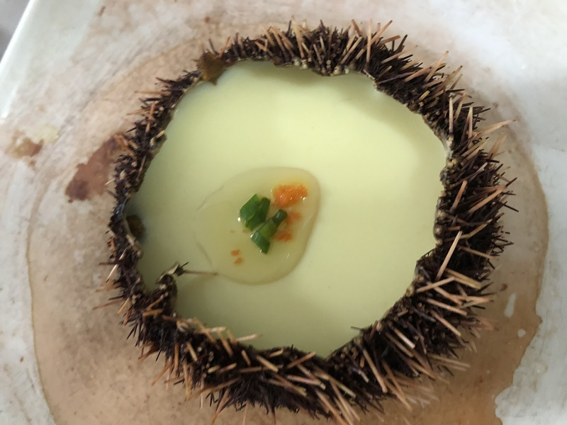 一个人的旅行真的有意义吗,旅行的意义和不期而遇的相遇