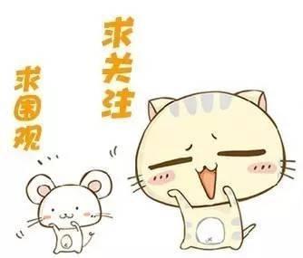 凯恩绝杀英格兰,凯恩梅开二度绝杀英格兰