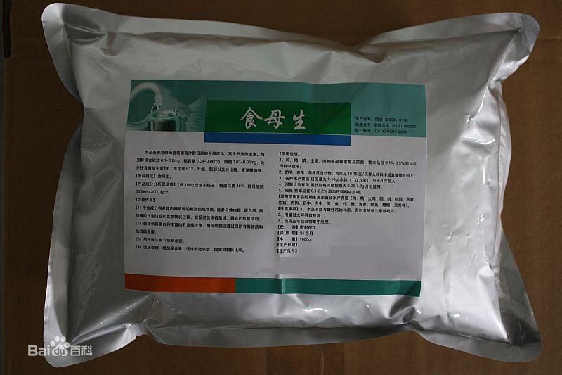 端午又逢父亲节！胡吃海塞后的消化不良如何解决？