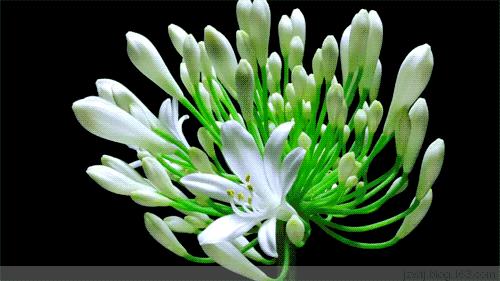 问球迷一一不尊重努力，凭什么要求成绩文/悍蝶